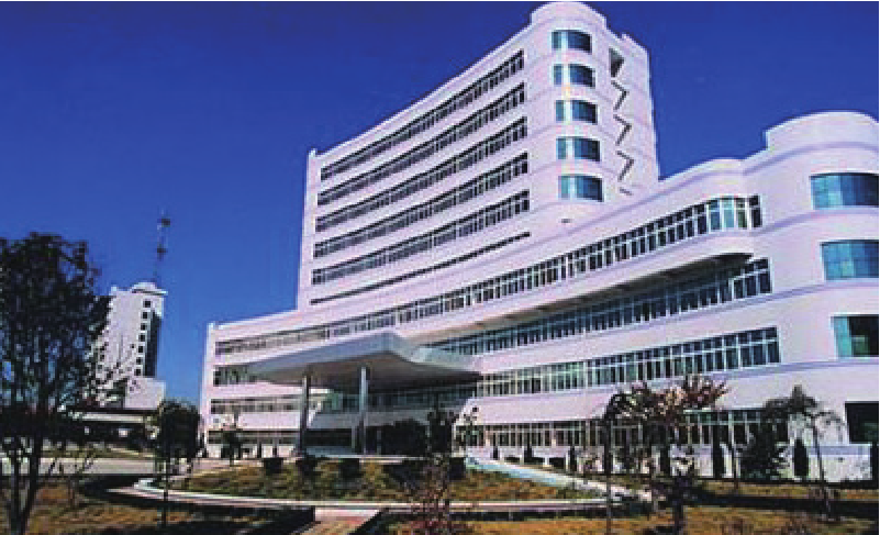 武汉市新洲区医院